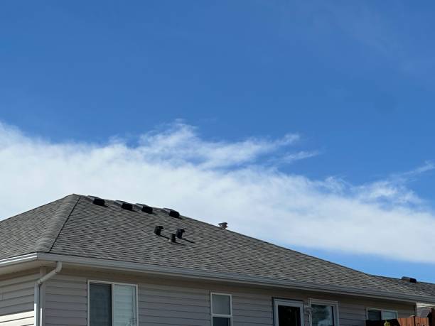 Best Green or Eco-Friendly Roofing Solutions  in South Kensington, MD